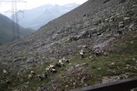 Bilder 10.Bergwoche  3. 11.08 (10) 